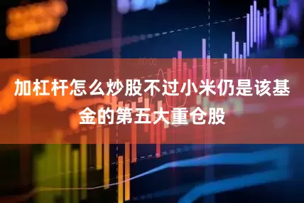 加杠杆怎么炒股不过小米仍是该基金的第五大重仓股