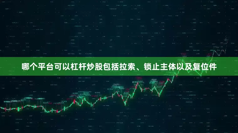 哪个平台可以杠杆炒股包括拉索、锁止主体以及复位件